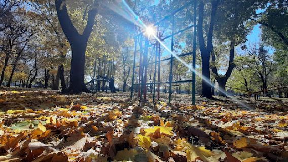 Karađorđev park
