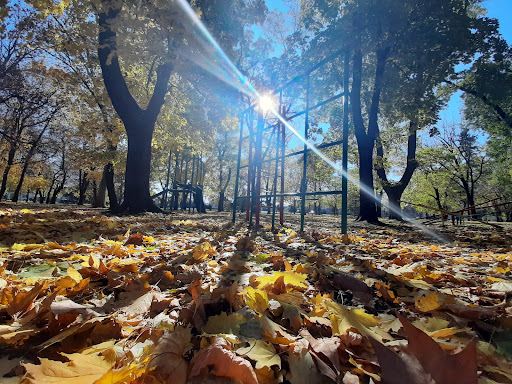 Karađorđev park