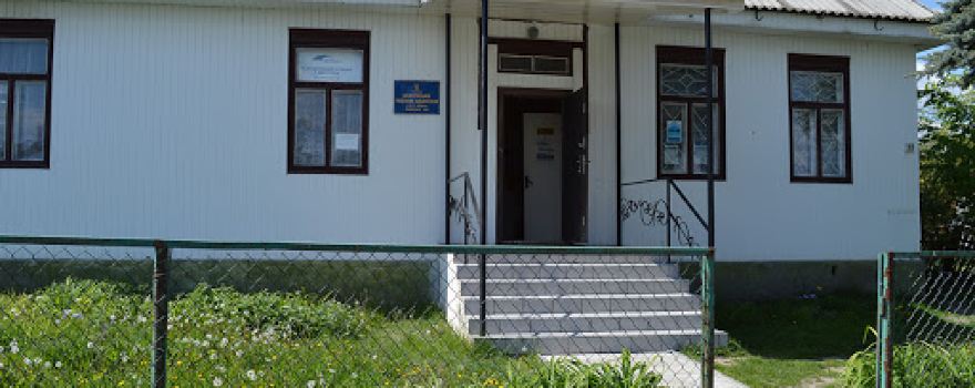 Shatsk central district library