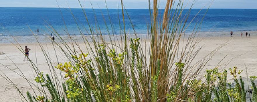 Plage de l'Océan