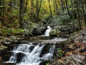 Gee Creek Trail