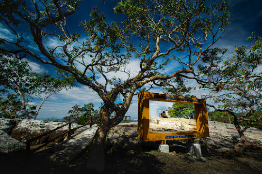 ผาสุดแผ่นดิน ชัยภูมิ