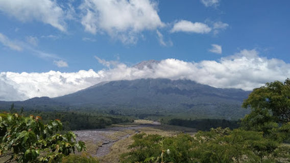 Bumi Perkemahan Tawon Songo