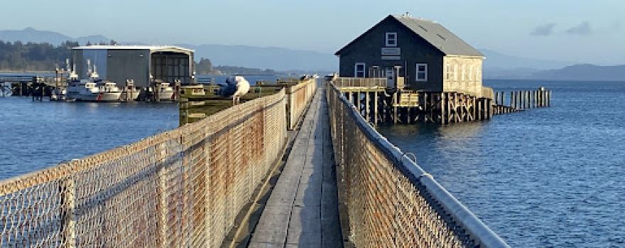 Crabbing Dock