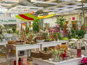 Shopping Garden - Nursery - Landscaping