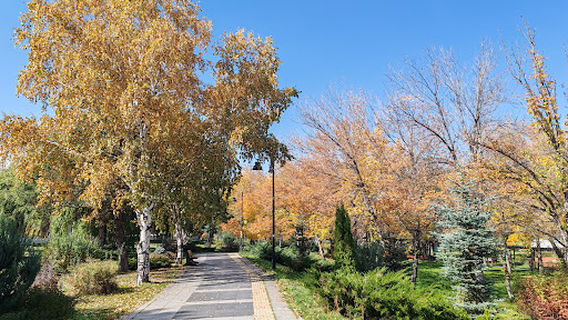 100th Anniversary Park