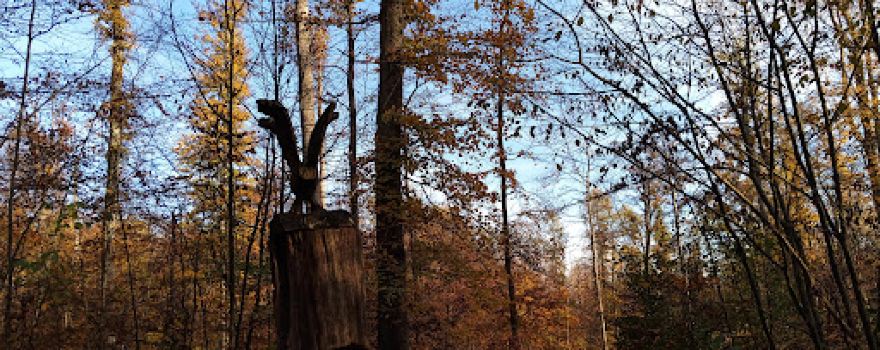 Forest reserve Waldkugel (Naturlehrpfad)