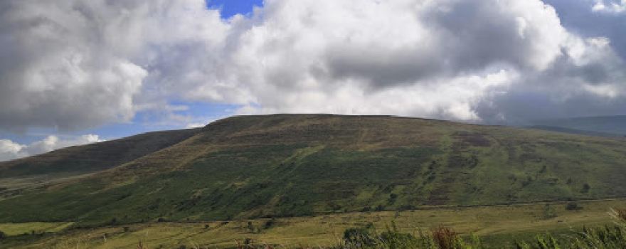 Cors y Llyn National Nature Reserve