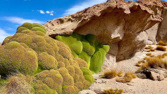 Mirador Volcán Ollagüe