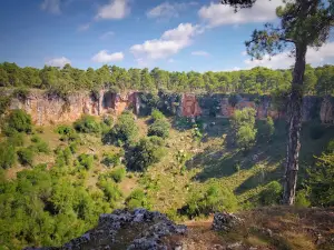 Torcas de los Palancares