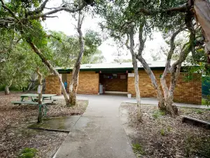 Noosa North Shore Beach Campground