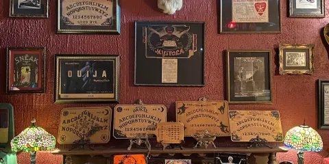 Bearded Lady’s Mystic Museum