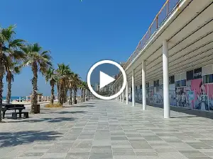 Rishon LeTsiyon Beach