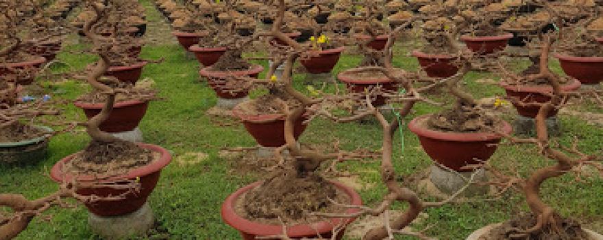 Nhà Văn Hóa Cộng Đồng Thôn Liêm Lợi