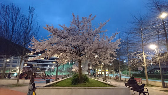 Zelai Arizti Kultur Etxea