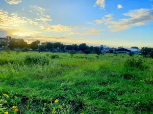 SK School - Ground No. 2
