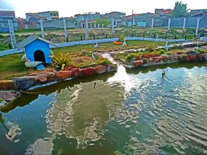 Environmental Park João Alves