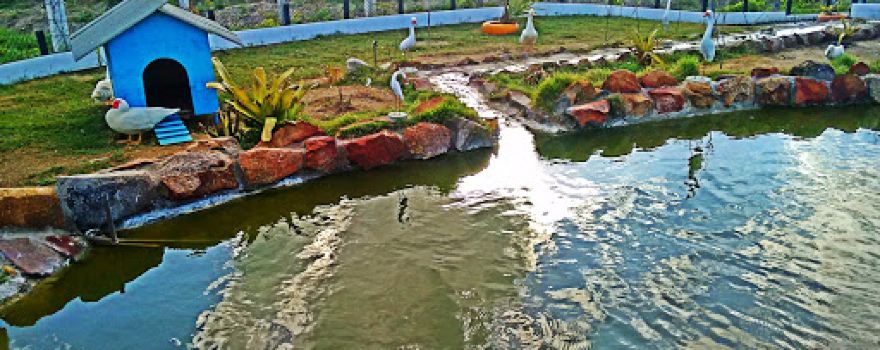 Environmental Park João Alves