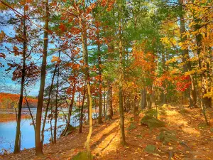 Lake Wintergreen