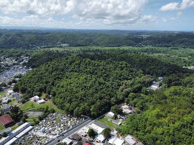 Bosque Estatal de Vega Alta
