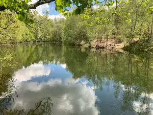 Siège de Merlin
