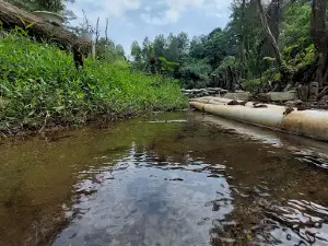 Wisata Alam Sirah Pemali