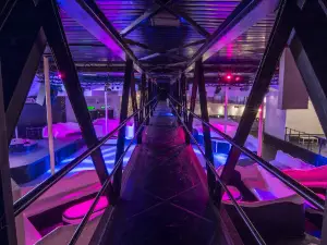 Miami Disco Club