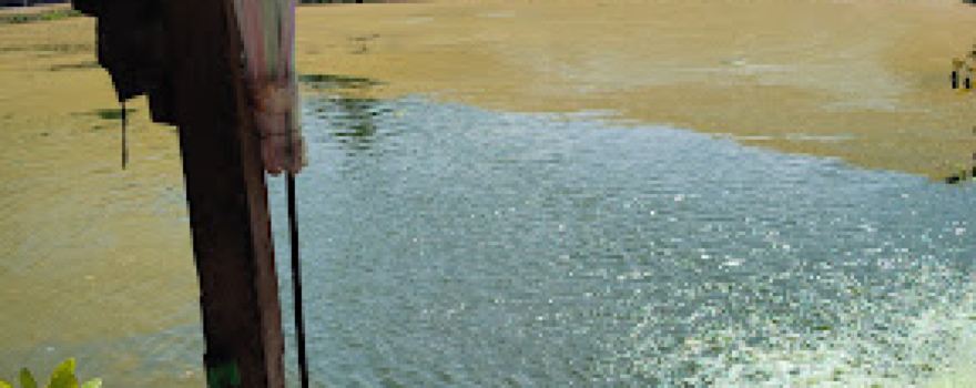 Kolam Pancing Strikes