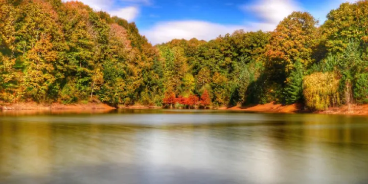阿塔圖爾克植物園