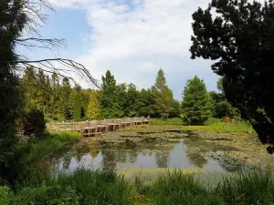 Arboretum