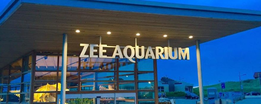 Sea Aquarium Bergen Aan Zee