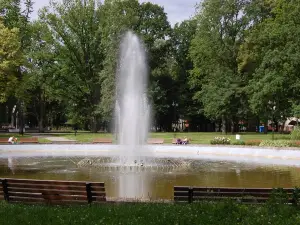 Dubrovin Park