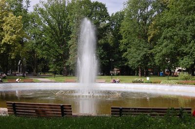 Dubrovina Park