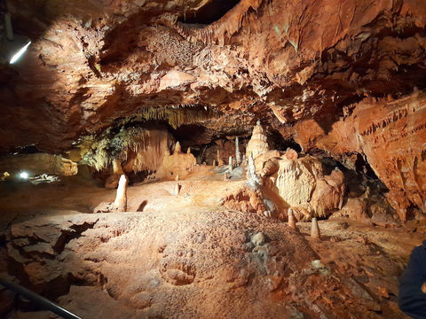 Kents Cavern Prehistoric Caves