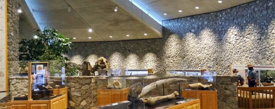 Mastodon State Historic Site
