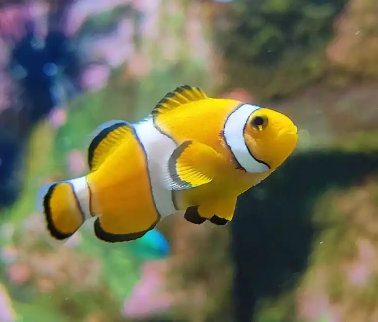 Hotels near Blue Reef Aquarium Newquay