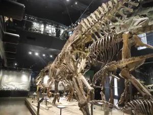 Mifune Dinosaur Museum