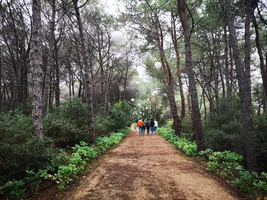 4_Ataturk's Urban Forest