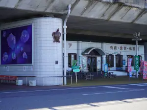 道の駅 親不知ピアパーク