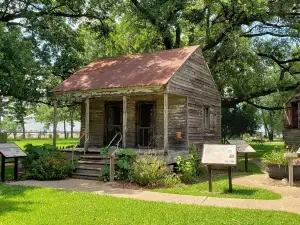 San Francisco Plantation