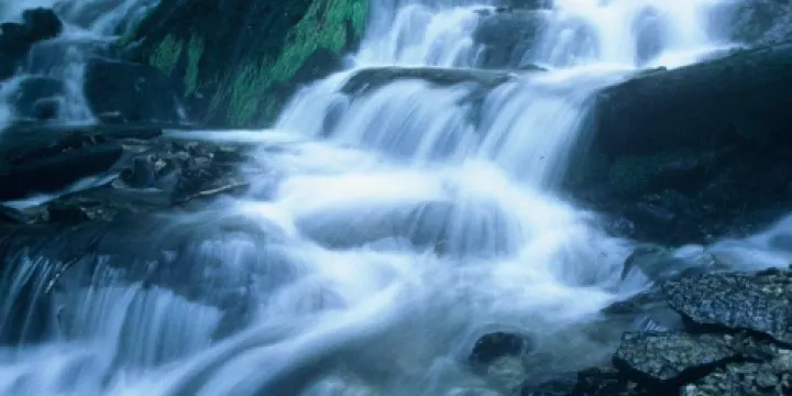 Dunning's Spring Park