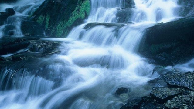 Dunning's Spring Park