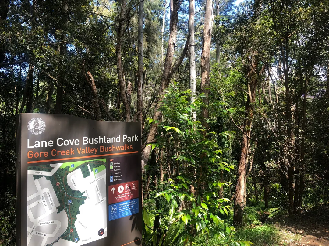 4_Gore Creek Reserve and Lane Cove Bushland Park Walk