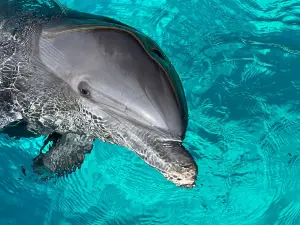 Marineland