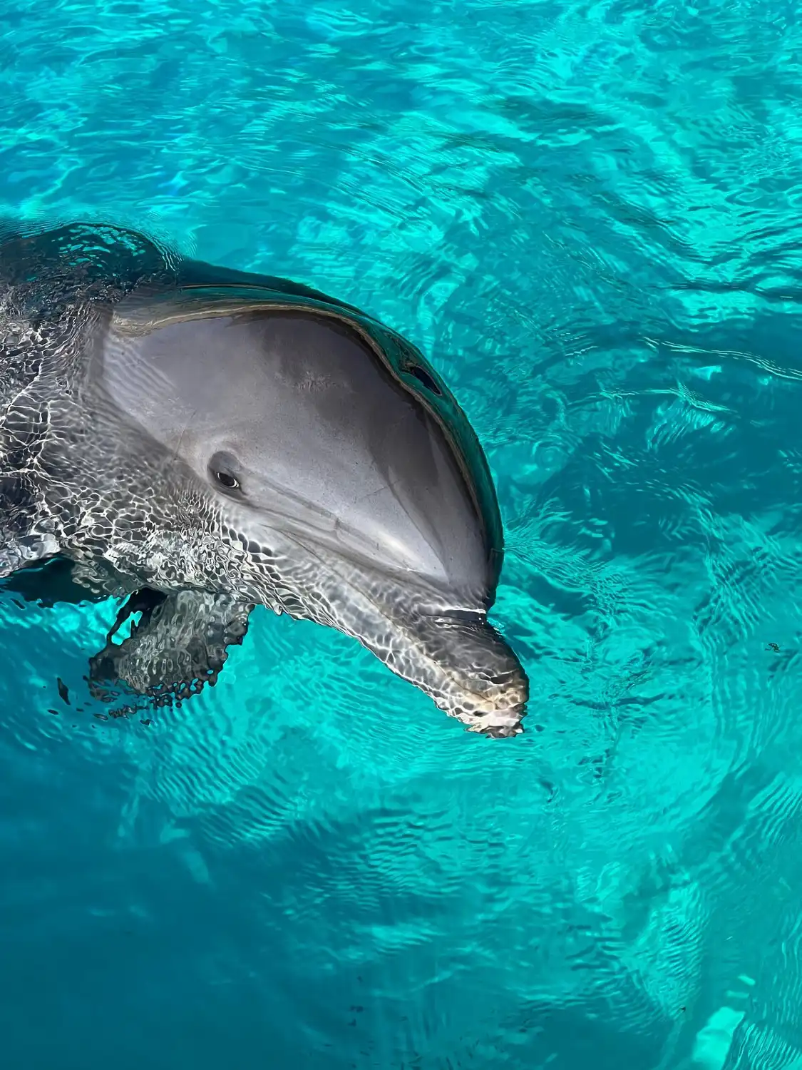 Hotels near Marineland
