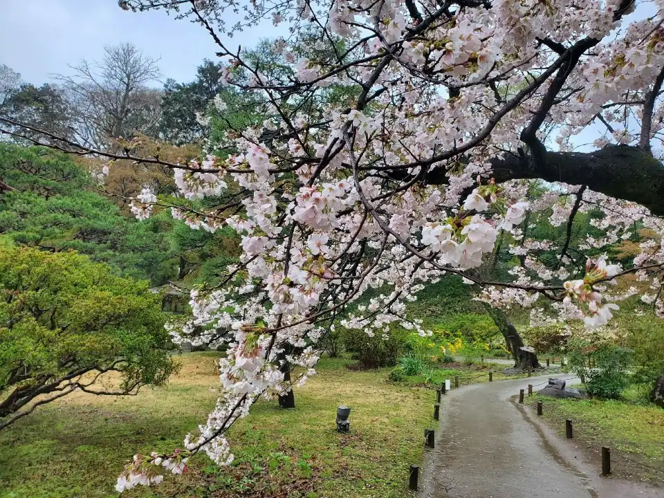 4_Rikugien Gardens