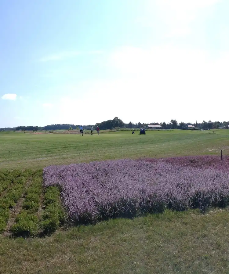 Hotels near Golfclub de Hildenberg
