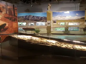 Museum of Nature & Science