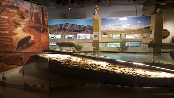 Museum of Nature & Science