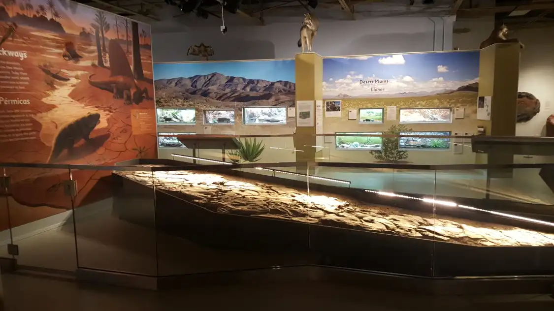 Hotels near Museum of Nature & Science